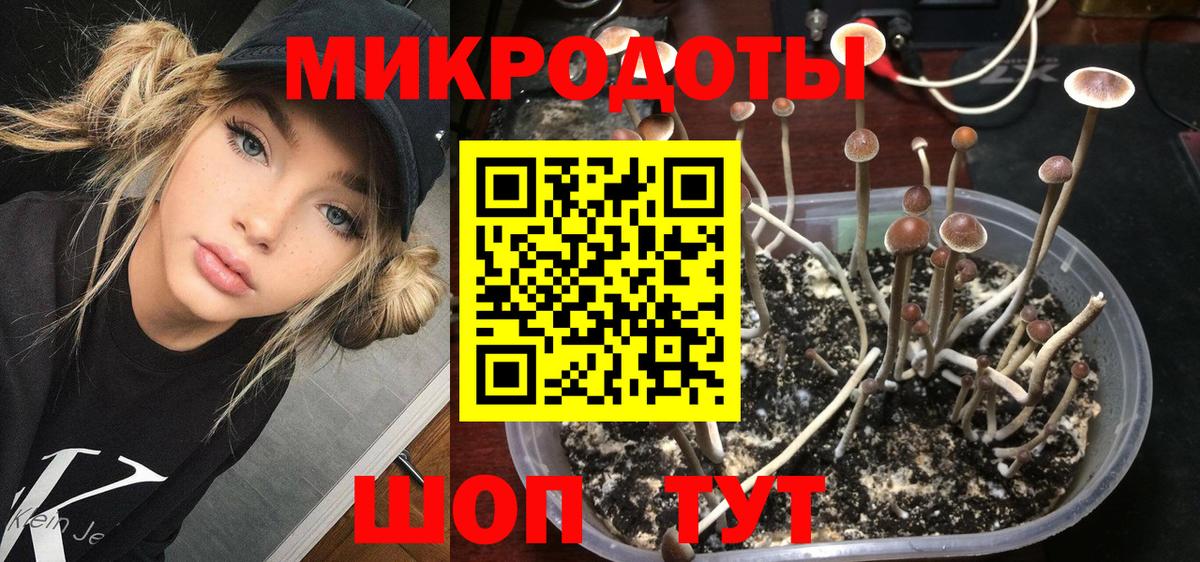 Галлюциногенные грибы Magic Shrooms  Вход с VPN  Омск 